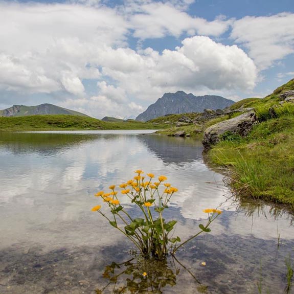 Hochtorsee Saalbach Hinterglemm